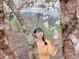 Những món mỹ phẩm chị em nhất định phải có nếu muốn cải thiện làn da ngày một rạng rỡ